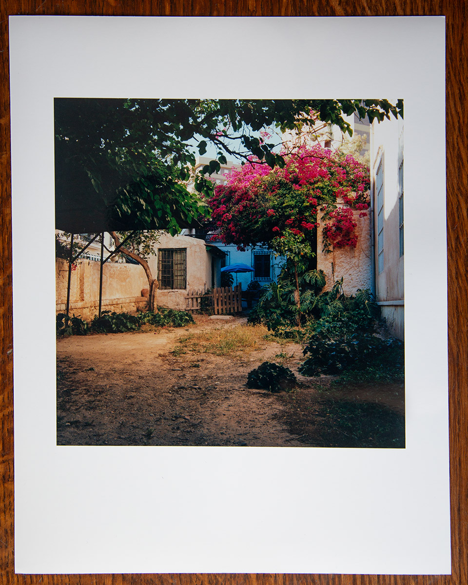 Le jardin de la maison Accacia en été. Situé en Andalousie proche de la mer Méditerranée.
